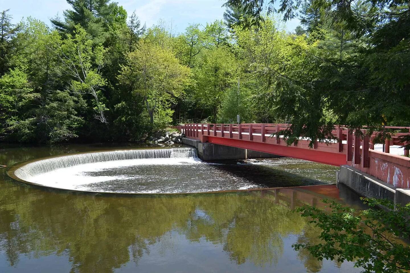 River and footbridge in Ludlow surrounded by summer greenery